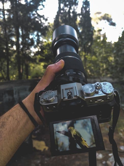 Best Telephoto Zoom Lens for Sony E Mount in 2026