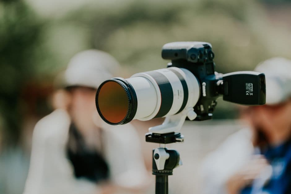 Vivitar 650mm 2600mm Telephoto Zoom Lens Review (2026)